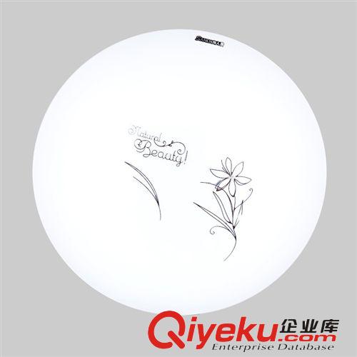 尚人居LED吸頂燈印花小客廳燈臥室燈具陽臺燈廚房餐廳燈飾255原始圖片3