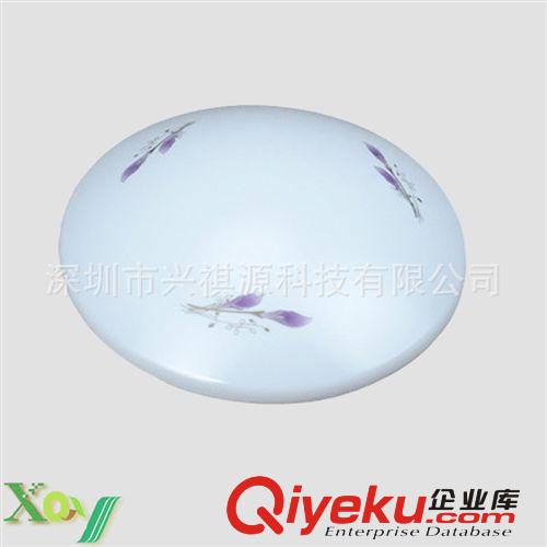 優(yōu)質正品百合亞克力LED吸頂燈飾 臥室燈具過道燈陽臺燈廚衛(wèi)燈原始圖片2