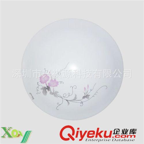 廠家批發(fā)：金銀花亞克力LED吸頂燈飾臥室吸頂燈過道燈原始圖片2
