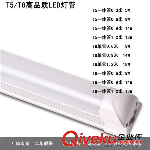 龍珠泡E27螺口40W60W大燈泡白熾燈泡臺燈吊燈床頭燈吸頂燈具燈飾