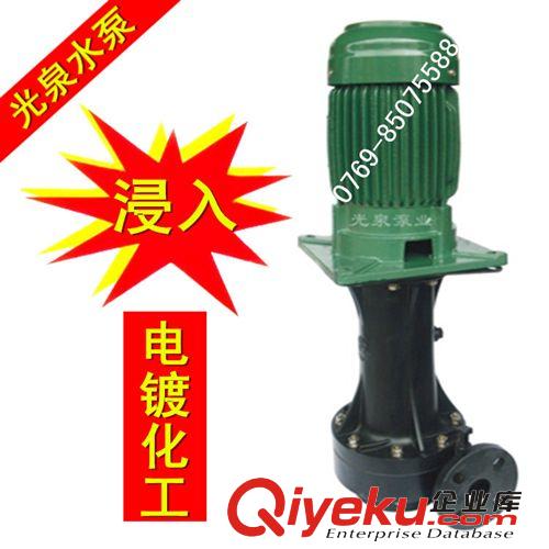 自吸式耐酸堿泵/耐強酸強堿化工水泵/大流量線路板電鍍藥劑設備泵