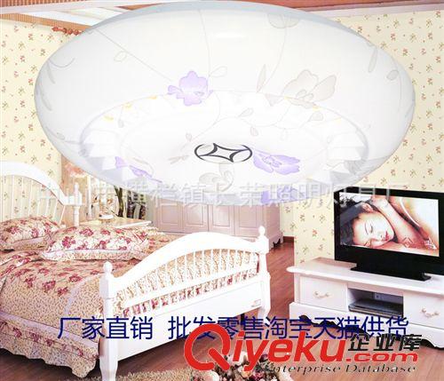 【廠家直銷】吸頂燈吊燈家居客廳臥室兒童房陽臺廚房過道批發0689原始圖片2