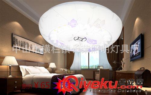 長榮現(xiàn)代整體LED家居吸頂燈客廳臥室陽臺過道燈具燈飾批發(fā)0689