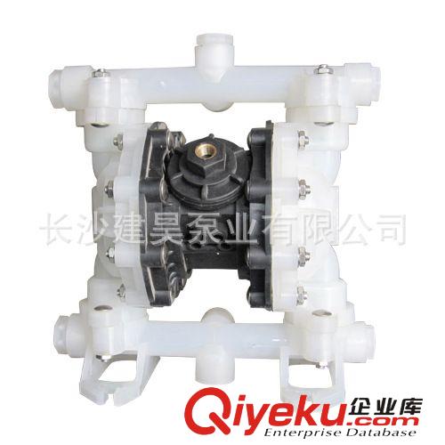 QBY2第二代氣動隔膜泵/增強聚丙烯氣動隔膜泵/QYB2氣動隔膜泵原始圖片2