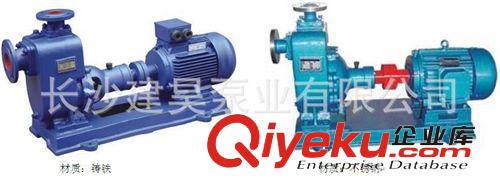 吉安 宜春 贛州專業(yè)廠家 50ZX20-7.5清水化工自吸泵 廠價直銷江西原始圖片2