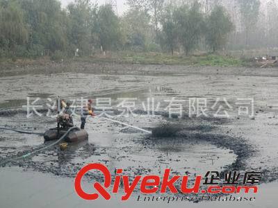 建昊供应10NL-16鱼塘开挖机组 河道鱼池疏浚 {gx}便捷 郴州周边