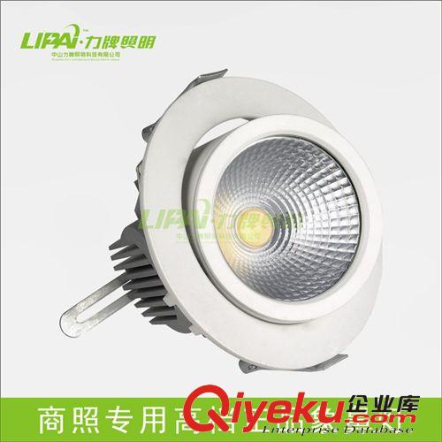 LED照明燈節(jié)能象鼻燈10W20W30WCOB射燈嵌入式開孔125MM145MM射燈