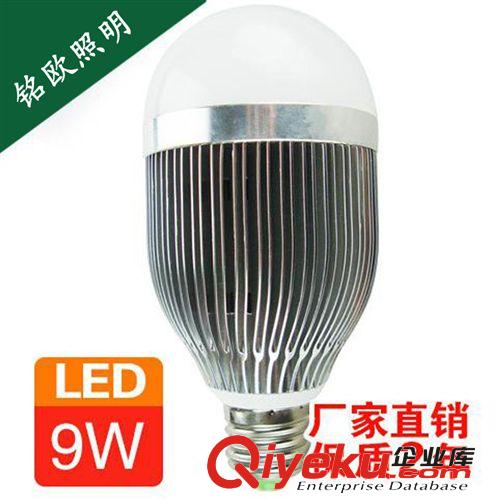 12W LED球泡燈 廠家直銷 質(zhì)保二年 LED光源