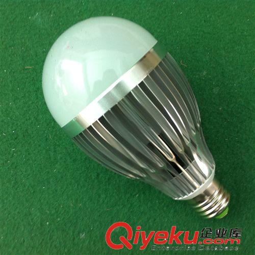 12W LED球泡燈 廠家直銷(xiāo) 質(zhì)保二年 LED光源