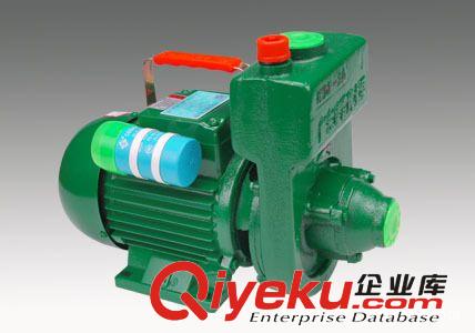 廣東陽春凌霄清水泵自吸式水泵自吸式清水泵IZDB65型原始圖片3