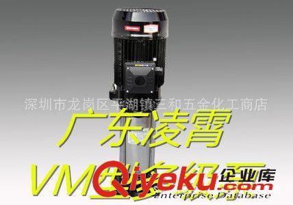 【凌霄】廣東水泵不銹鋼BJZ100/750W不銹鋼射流式自吸泵