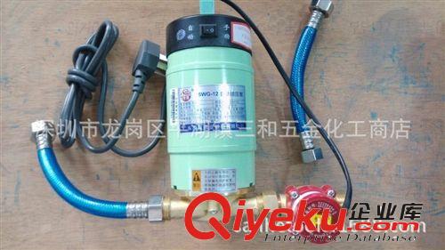 批發(fā)廣東凌霄牌家用60W微型自動增壓泵15WG-12原始圖片3
