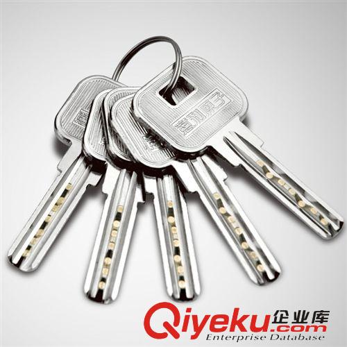 廠家直銷 意利原子YL-1015電控鎖1.2厚拉絲鎳出租屋門鎖原始圖片2