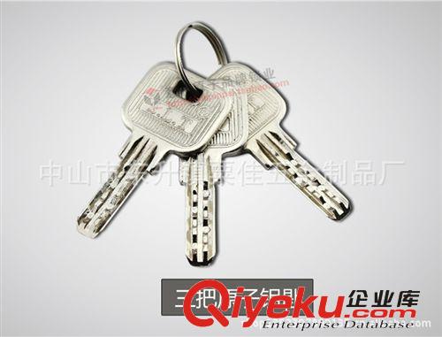【專業(yè)品質(zhì)】供應(yīng)大量批發(fā)優(yōu)質(zhì)原子高級鐵閘卷閘門鎖 廠家直銷原始圖片3