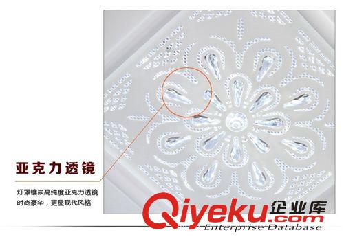 現(xiàn)代簡約LED燈珠吸頂燈客廳臥室燈書房燈亞克力雕花工藝 8542原始圖片3