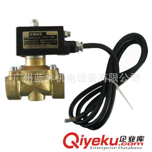 ZCM-10燃?xì)怆姶砰y  防爆燃?xì)怆姶砰y