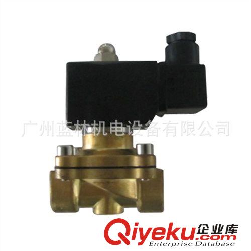 ZCM-10燃?xì)怆姶砰y  防爆燃?xì)怆姶砰y