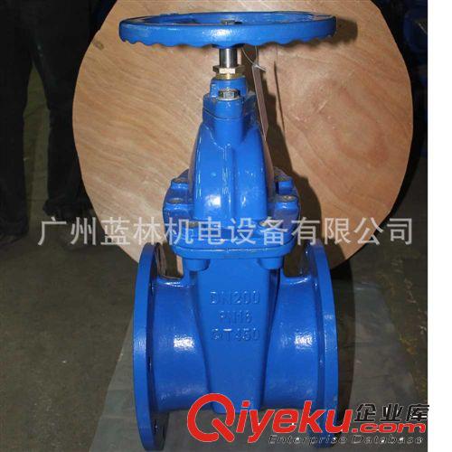 Z41X明桿彈性座封閘閥原始圖片2