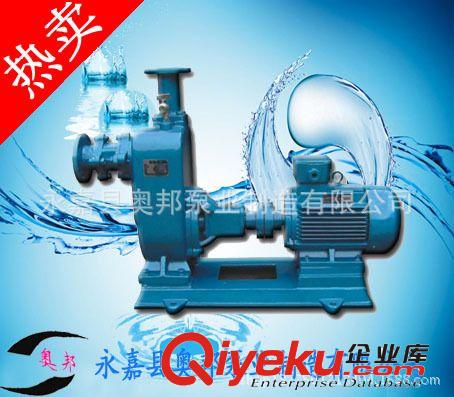 化工泵,不銹鋼單級無堵塞化工泵性能,ZW型耐腐蝕化工泵結(jié)構(gòu)