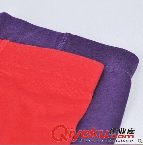 限時(shí)包郵 gd莫代爾棉提花 春裝情侶男女士基礎(chǔ)打底衫內(nèi)衣套裝原始圖片3