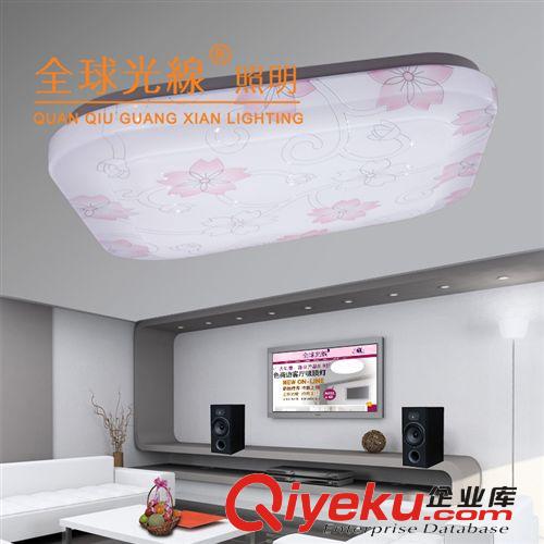 廠家批發(fā) 方形30Wled客廳臥室廚房吸頂燈現(xiàn)代家居照明燈具燈飾