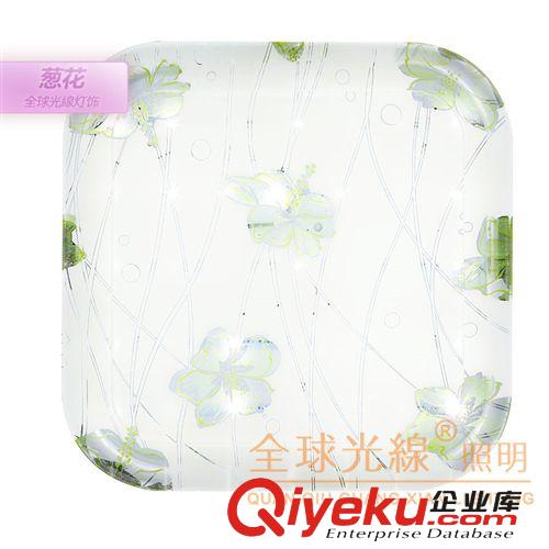 廠家批發(fā) 方形30Wled客廳臥室廚房吸頂燈現(xiàn)代家居照明燈具燈飾