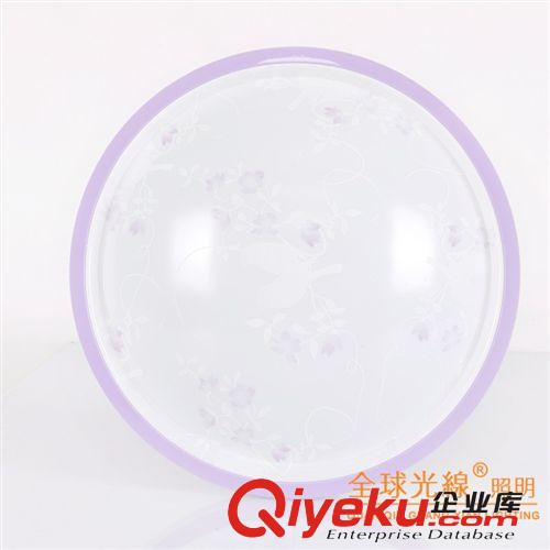 廠家批發 深虹系列LED吸頂燈現代簡約多色圓形客廳臥室燈