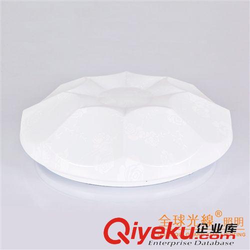 廠家直銷 現代簡約白玫瑰圓形客廳臥室LED吸頂燈 燈飾批發