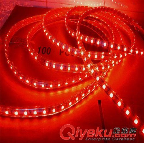 廠家直批 5050三晶銅線LED超亮亮燈帶家裝戶外裝飾燈帶1件起批