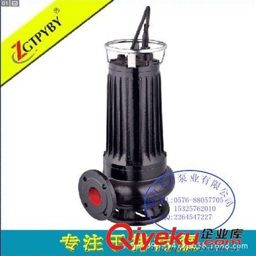 耐酸排污泵 不銹鋼排污泵整體鑄造 質(zhì)量可靠