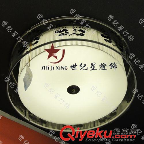 簡(jiǎn)約臥室燈 吸頂燈 客廳燈 餐廳燈 亞克力印花燈具M(jìn)D8960原始圖片2