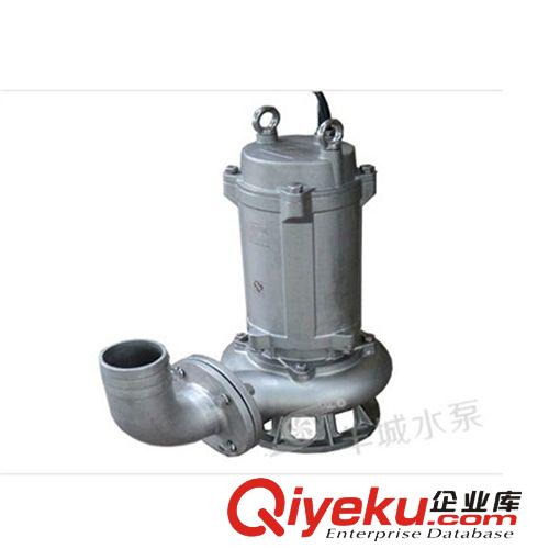 全不銹鋼潛水泵_50口徑1.1kw不銹鋼316潛污泵