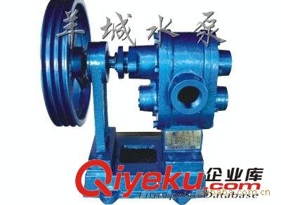 供應高粘度果漿糖漿輸送泵、高粘度濃漿輸送泵原始圖片2