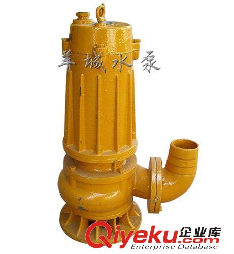 50KF-32耐腐蝕噴射泵_家用排污泵_不銹鋼污水泵
