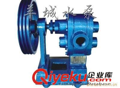 齒輪油泵cb 輸油泵 高溫大流量齒輪泵 不銹鋼外潤滑油齒輪泵