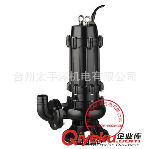 WQR耐高溫耐熱無堵塞排污泵 3寸口徑 三相電壓全揚程廠家定做直銷原始圖片2