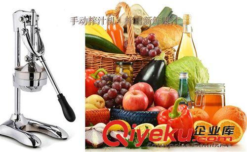 批發(fā)不銹鋼壓汁機  不銹鋼橙子汁機 tj不銹鋼榨汁機