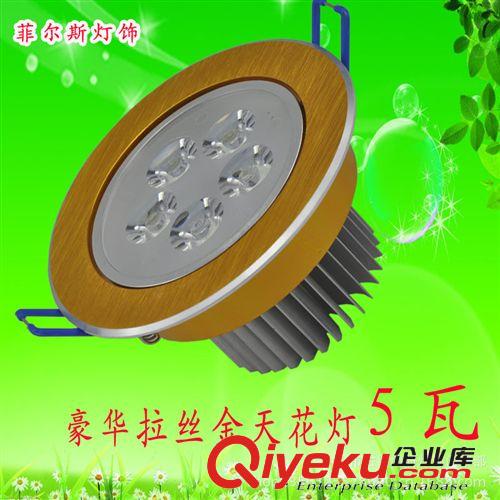 5瓦LED大功率拉絲金天花射燈家裝商用酒店工程照明燈具燈飾原始圖片3