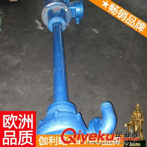 YW型液下式無(wú)堵塞排污泵 伽利略液下式排污泵