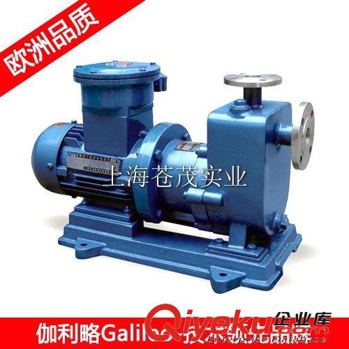 進口氟塑料磁力泵 耐高溫氟塑料磁力泵 CQB40-32-145F型 直銷