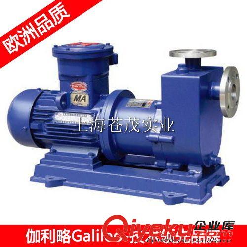 自吸式磁力泵 自吸式磁力驅動泵 ZCQ20-12-110型 堅固原始圖片2