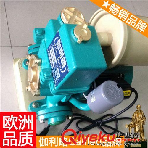 家用小型抽水泵 電動(dòng)抽水機(jī) 抽水泵揚(yáng)程50米  爆款