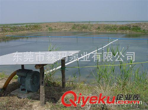 供應(yīng)國內(nèi)優(yōu)質(zhì)節(jié)能省電海鮮 增氧機(jī) 魚塘增氧機(jī) 水產(chǎn)增氧機(jī) 曝氣增