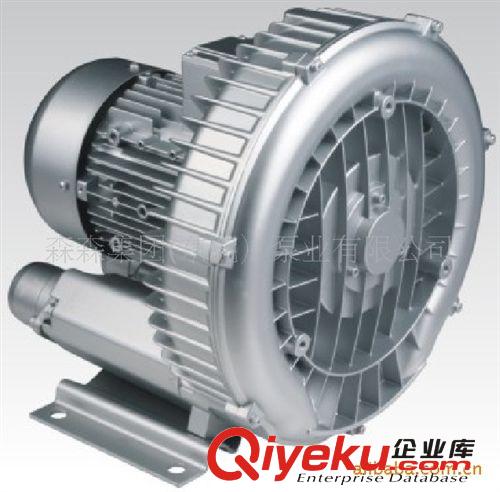 供應(yīng)中國(guó)塑料機(jī)械行業(yè)專用漩渦氣泵原始圖片2