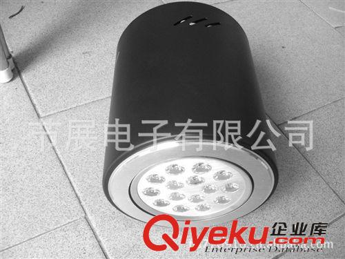 供應(yīng)高品質(zhì)15W LED大功率明裝天花燈