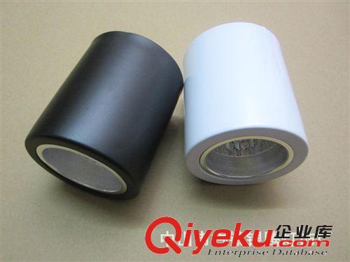 明裝筒燈2.5寸3寸3.5寸4寸5寸6寸8寸筒燈吸頂燈 LED筒燈原始圖片2