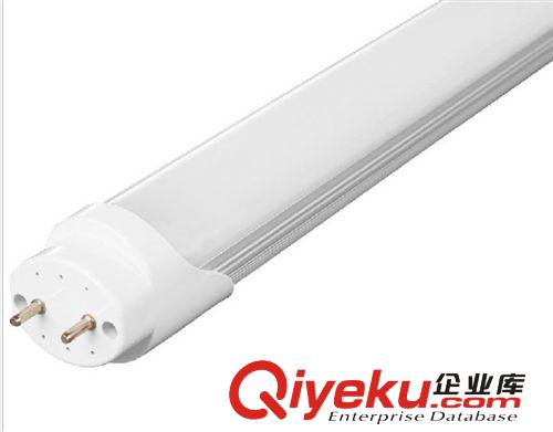 LED   T8光管