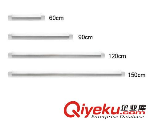 LED   T8光管