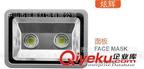 雙頭100w120Ｗ投光燈 led戶(hù)外泛光燈 照樹(shù)燈 廣告燈