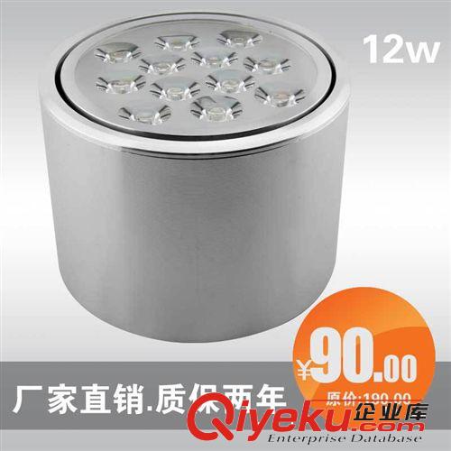 精品12Wled明裝筒燈射燈 led成品廠